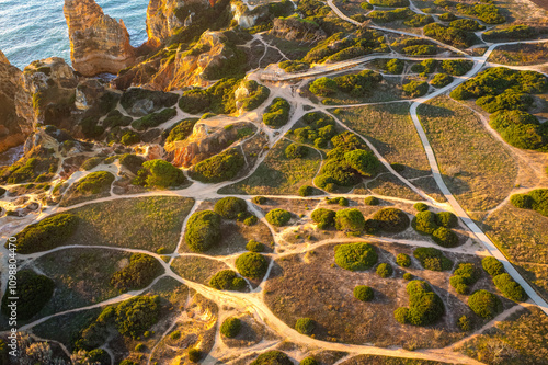Aerial view of vegetation crossed by trails at coast of Algarve, Portugal