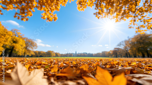 Vibrant Autumn Landscape in Sunny City Park