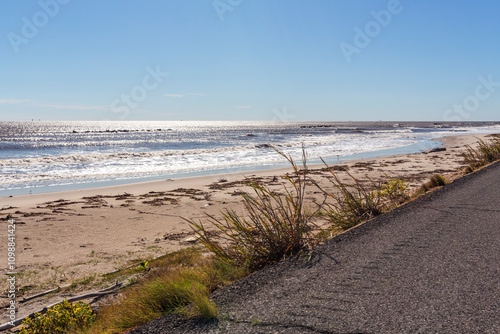 Obraz na plátně Gulf of Mexico view from a country road