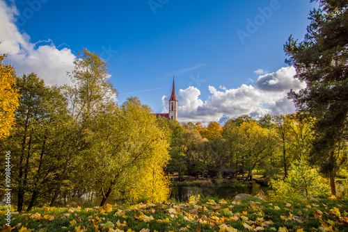 autumn in the park