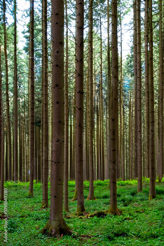 Wallpaper Mural Serenity in Nature: Stunning Scenic Views Torontodigital.ca