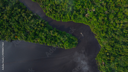 BLACK WATER RIVER IN THE PERUVIAN AMAZON, THE NANAY RIVER IS A LARGE IGAPO SURROUNDED BY LARGE FLOODABLE FORESTS, WHERE THERE IS A LOT OF BIODIVERSITY INSIDE, IN ALLPAHUAYO MISHANA photo