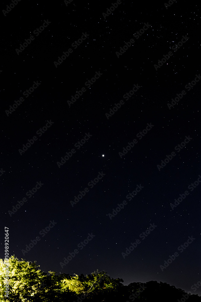 Fototapeta premium starry night sky