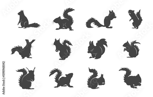 Squirrel silhouette, Squirrel svg, Squirrel clipart, Squirrel icon, Squirrel vector set