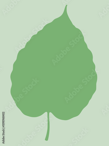 green leaf icon illustration photo