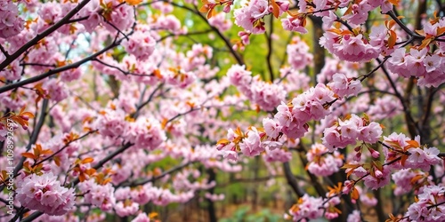 A colorful swirl of cherry blossoms and leaves in a springtime forest, peaceful, floral, spring