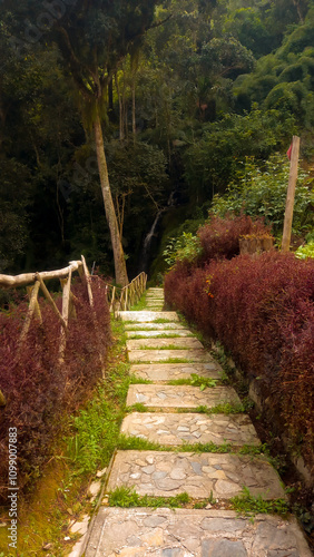 Camino descendente en la montaña  photo