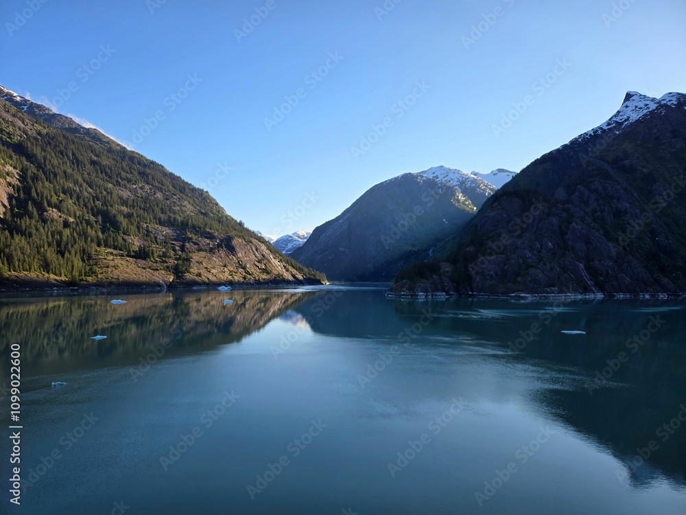 Naklejka premium Alaskan Fjord