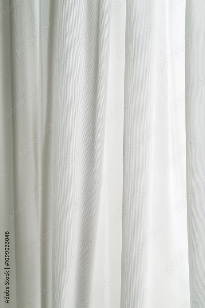 Obraz premium Cat on white curtain