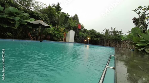 Close up or low angle view of the Pool after rain. Calathea lutea (Cuban Cigar Pampano) growing and wet beside the pool.