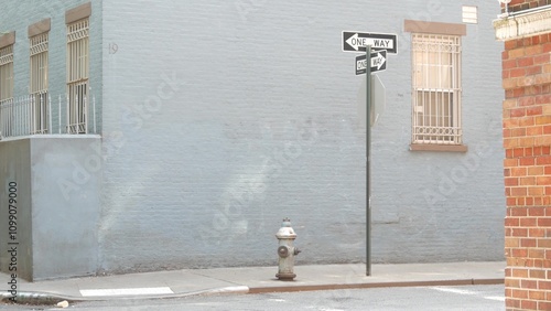 New York City oneway crossroad, Minetta street intersection one way arrow road sign. Manhattan Greenwich Village residential building architecture, NYC, United States. Blue brick wall, fire hydrant. photo