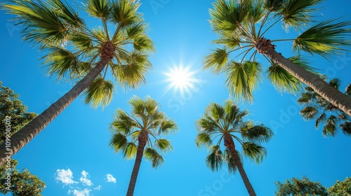 Wallpaper Mural A vibrant scene of palm trees under a bright sun against a clear blue sky. Torontodigital.ca