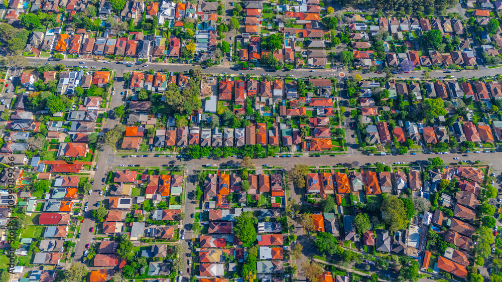Fototapeta premium Panorama aerial drone view of western Sydney Suburbs of Canterbury Burwood Ashfield Marrickville Campsie with Houses roads and parks in Sydney New South Wales NSW Australia