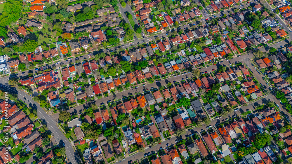 Fototapeta premium Panorama aerial drone view of western Sydney Suburbs of Canterbury Burwood Ashfield Marrickville Campsie with Houses roads and parks in Sydney New South Wales NSW Australia