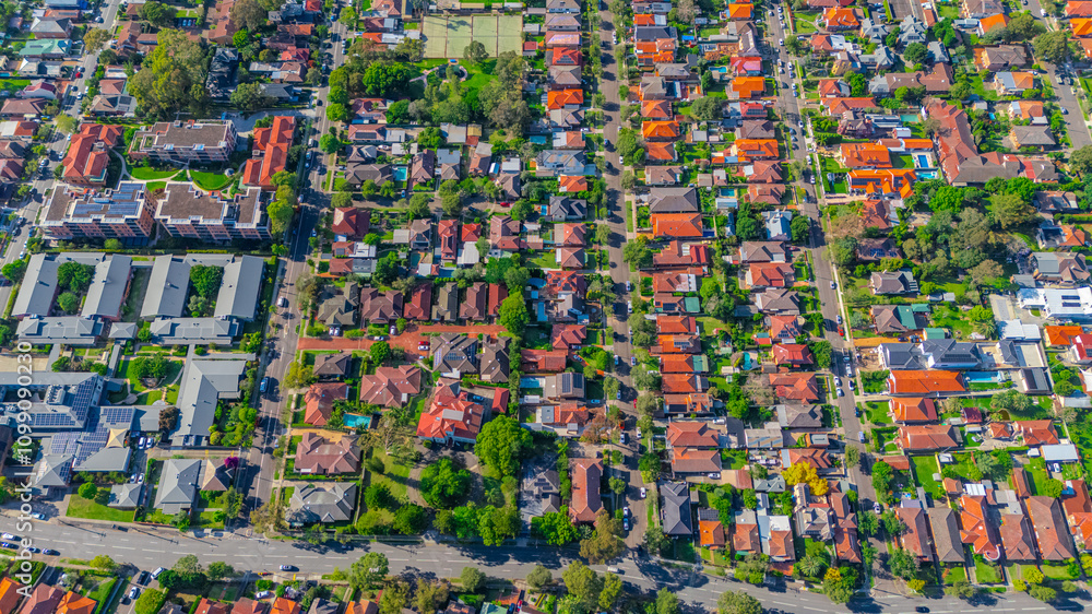 Fototapeta premium Panorama aerial drone view of western Sydney Suburbs of Canterbury Burwood Ashfield Marrickville Campsie with Houses roads and parks in Sydney New South Wales NSW Australia