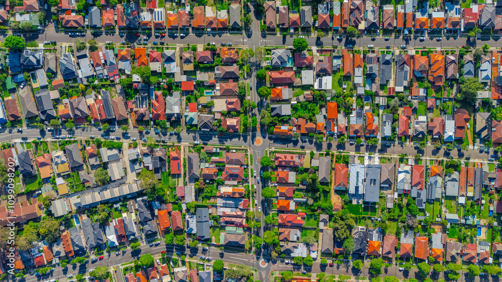 Fototapeta premium Panorama aerial drone view of western Sydney Suburbs of Canterbury Burwood Ashfield Marrickville Campsie with Houses roads and parks in Sydney New South Wales NSW Australia