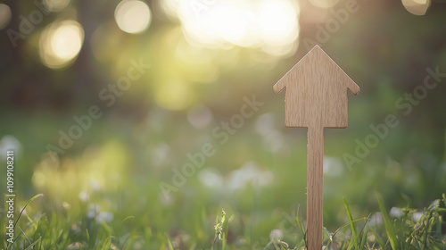 Dream Home in a Meadow: A c...