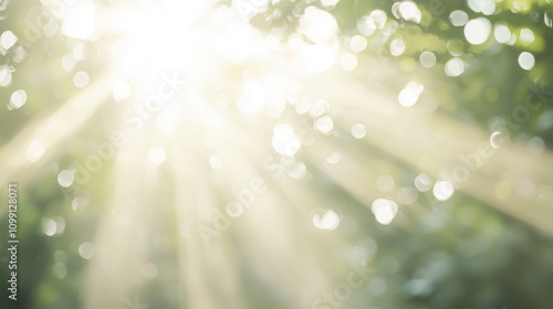 Sunbeams Through the Leaves...