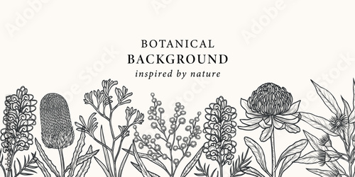Hand drawn Australian flowers and plants background