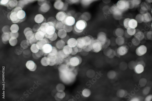 キラキラシルバーの玉ボケ