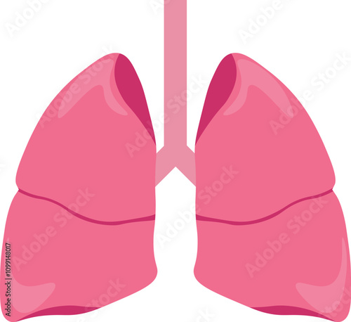 Human lungs vector design.