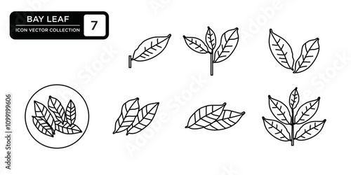 Bay leaf icon collection, editable and resizable vector icon templates.