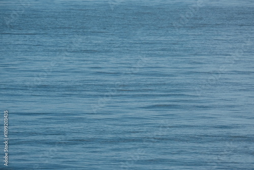 静かに揺れる海面　水面　波　穏やか　瀬戸内海 photo