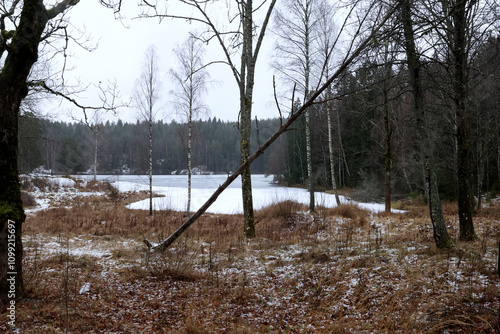 Photography Winter