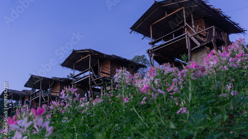 Photo of homestay with Spider flower scene in front