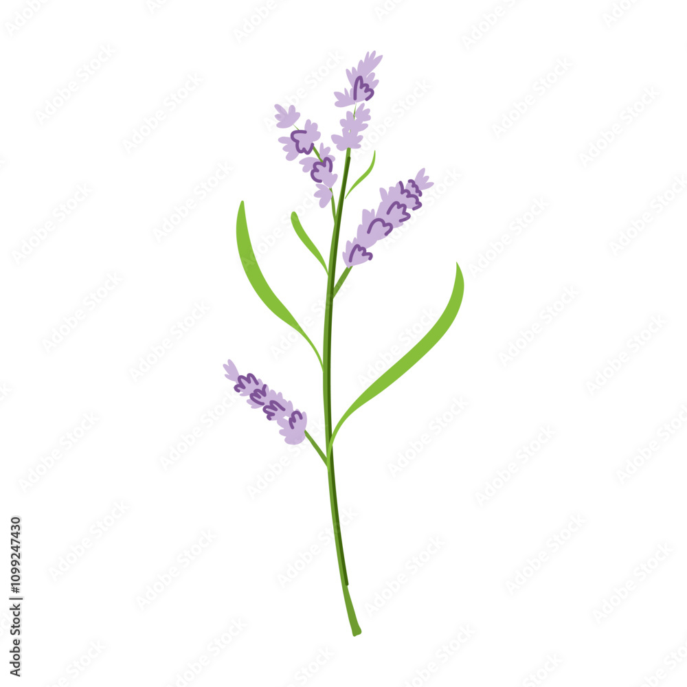 Obraz premium garden flower branch cartoon. plant floral, bouquet tree, spring summer garden flower branch sign. isolated symbol vector illustration