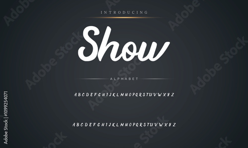 Signature Font Calligraphy Logotype Script Brush Font Type Font lettering handwritten