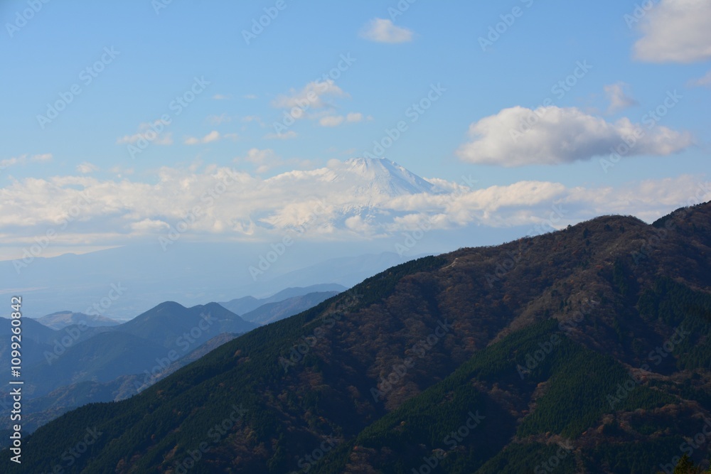 Obraz premium 丹沢・大山の富士見台から見た富士山