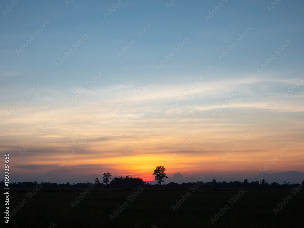 The silhouette of the trees contrasts with the beautiful evening sky.
