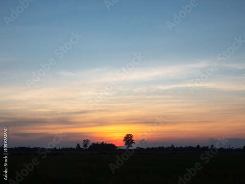 The silhouette of the trees contrasts with the beautiful evening sky.