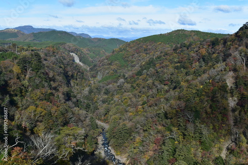 九重“夢”大吊橋の風景 photo