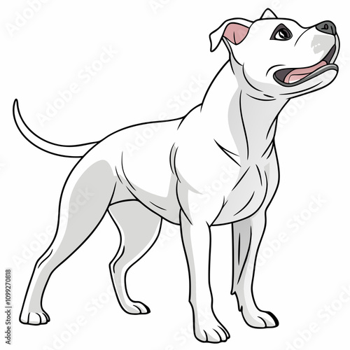  Cute and lovable American Staffordshire Terrier vector artwork, ideal for pet-themed designs, prints, and creative projects.
