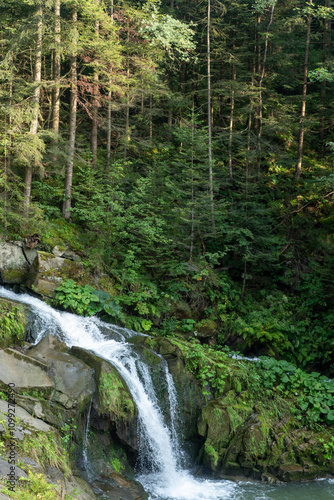 Mountain waterfall in the forest. Green nature. Lake water Kamianka in the Ukrainian Carpathians river Skole photo