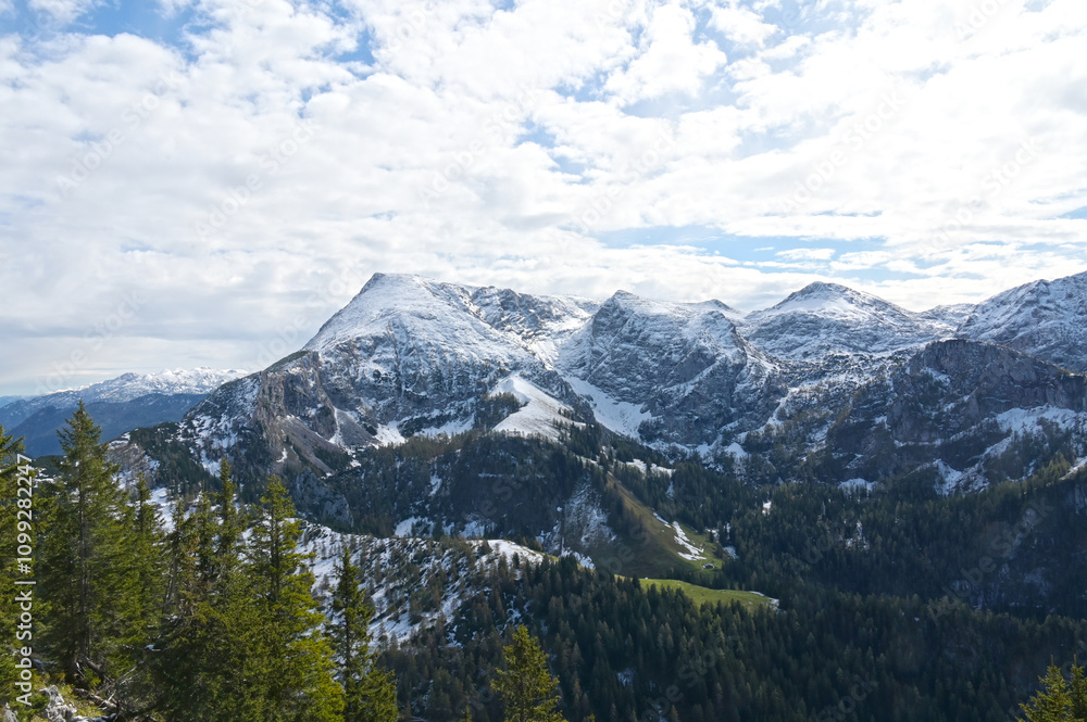 Obraz premium Jenner, Wanderweg, Ausblick