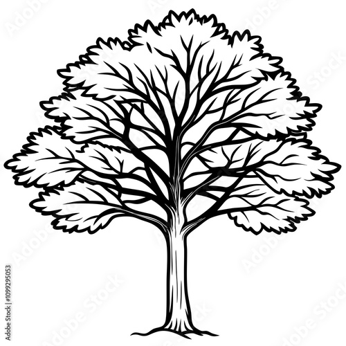 tree with leaves