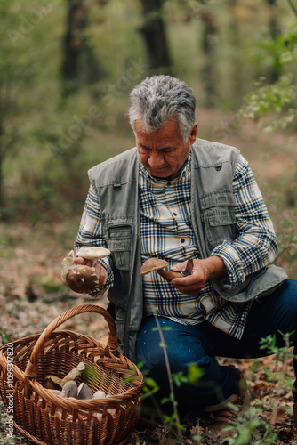 Foto Senior mycologist examining wild mushrooms in forest