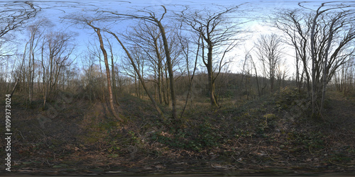 Beautifull HDRI Images For 3D and Cinema 4D Texture & Environment	
