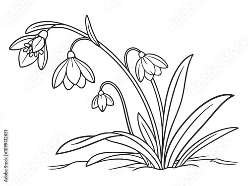 African violet in continuous line art drawing style. Saintpaulia flowering plant black linear sketch isolated on white background. Paulina flowering plant drawn in black linear style