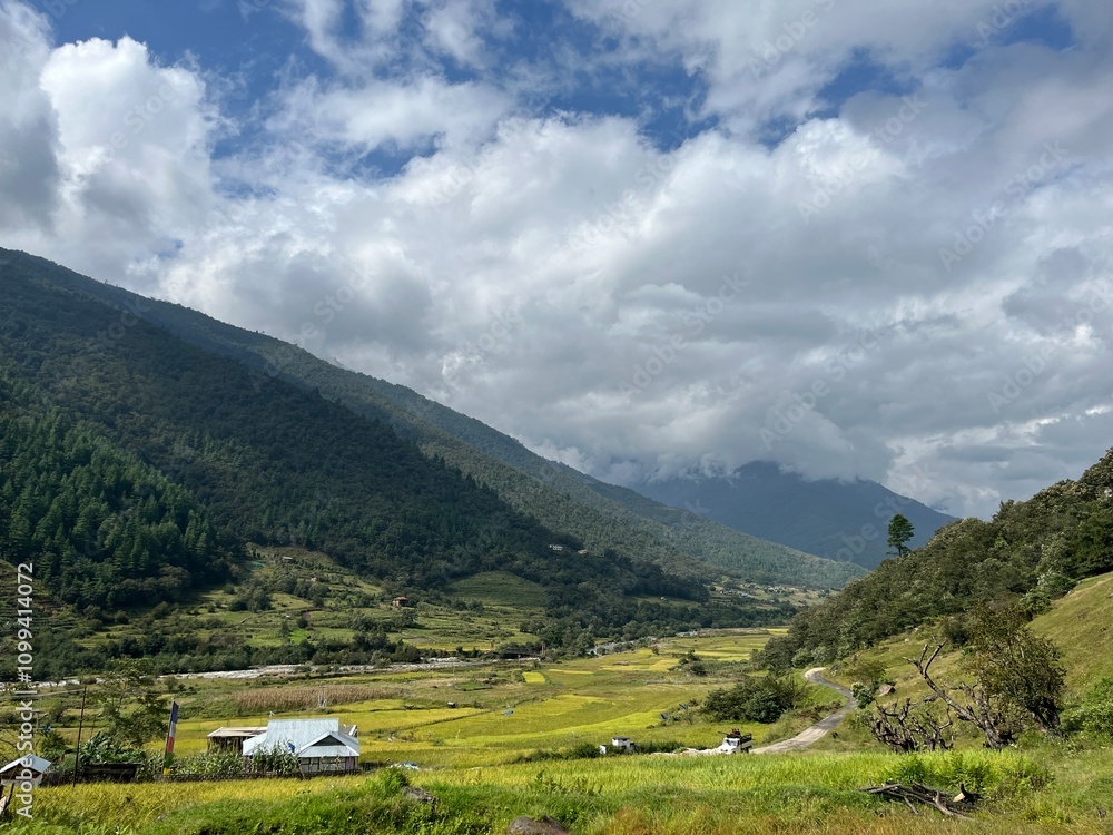 Fototapeta premium Landscape with green meadows mountains and sky in Arunachal Pradesh