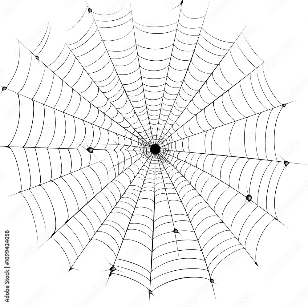 Fototapeta premium Intricate spider web glistening with dew drops