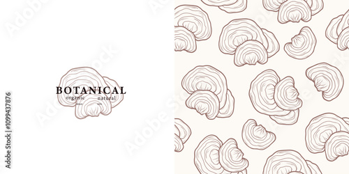 Hand drawn reishi mushroom logo and seamless pattern