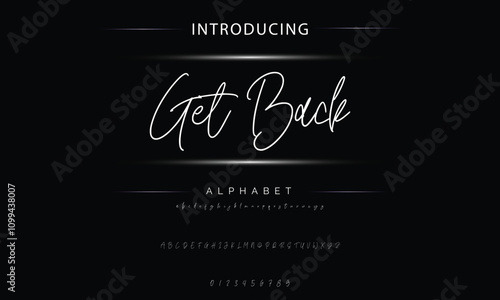 Hand drawn vector alphabet. Modern monoline signature script font. Elegant Signature Font. Best Alphabet Beautiful Calligraphy Signature Font