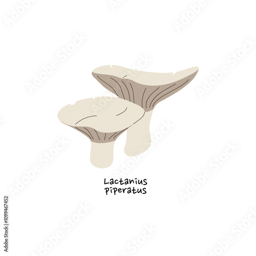 Lactifluus piperatus icon. Blancaccio with name. Edible autumn mushroom with gills. Fall forest fungus, raw boletus, ripe bolete for eating. Flat isolated vector illustration on white background