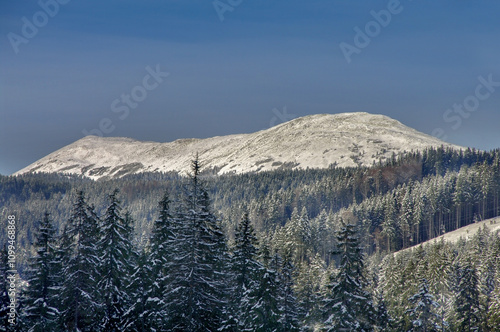 Sinyak mountain, Carpathian national, park, Ukraine, Europe