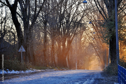 atmospheric photo of the road in the tunnel of trees on a winter morning, the...