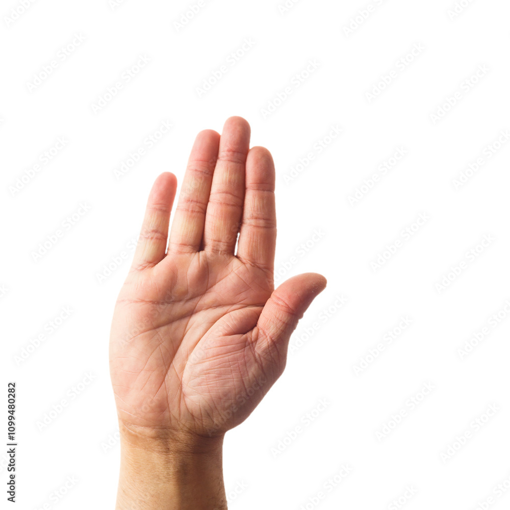 Adult male hand showing stop gesture isolated on white